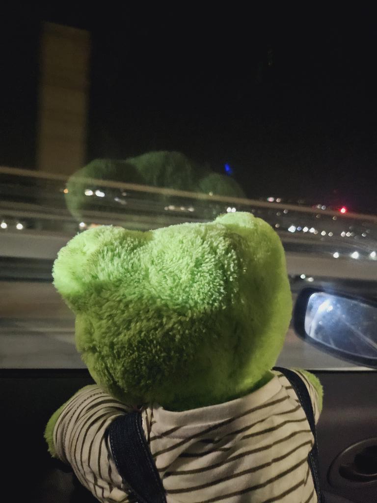 LilyTheSilly tweet media