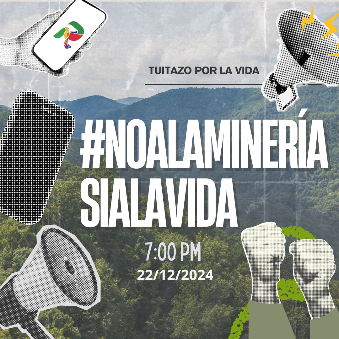 ¡Hoy gran tuitazo por la vida utilizando el hashtag #NoALaMineriaSiALaVida! 🌱🌷

⏰️ 7:00 p.m.