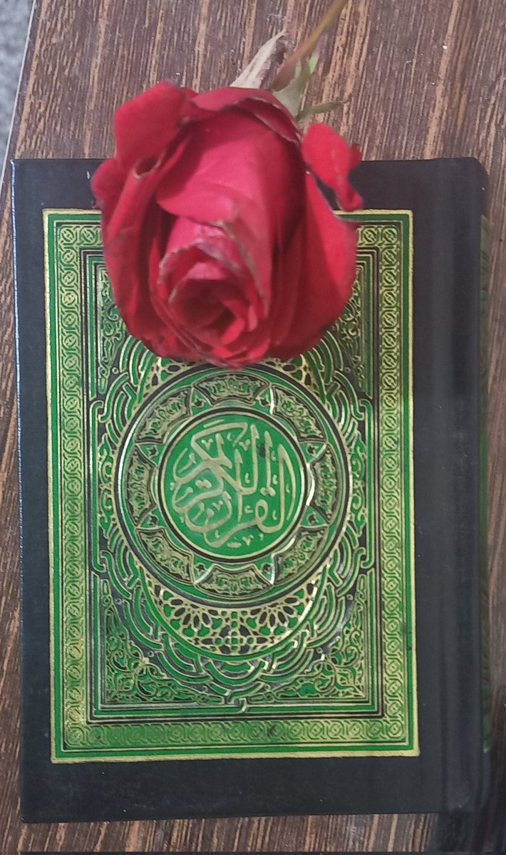NizamHu26134036's tweet photo. 🌺🌺السلام عليك أيتها الحوراء الإنسية🌺🌺
ظہور شہزادی ِ کو نین جانِ رسول و خدیجہ ص زوجہ ِامیر ص امامِ زمان عج اور تمام مومنین کو بہت بہت مبارک ہو! 
💚🤍🎂🤍💚

#AlFatima_ThePureOne
#Wiladat_E_HazratFatimah
#جشن_ملکہ_کونین
#جشن_میلاد_فاطمه_الزھرا

#السعوديه_البحرين https://t.co/ghx1l83k3J
