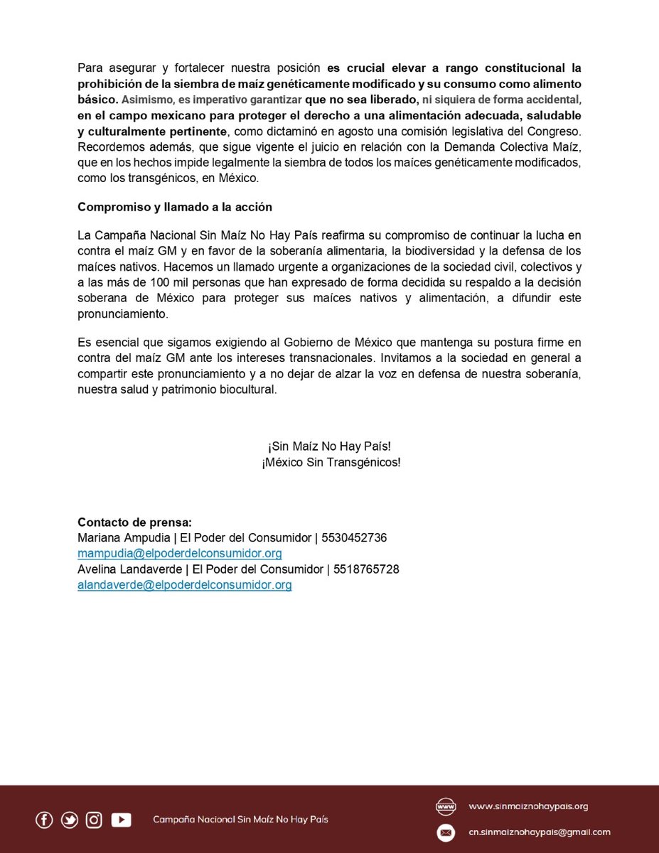 elpoderdelc's tweet image. El Decreto Presidencial sigue en pie. México tiene el derecho de proteger sus maíces nativos y la biodiversidad. ¡No necesitamos maíz transgénico para garantizar nuestra seguridad alimentaria! 🇲🇽🌽 #SoberaníaAlimentaria