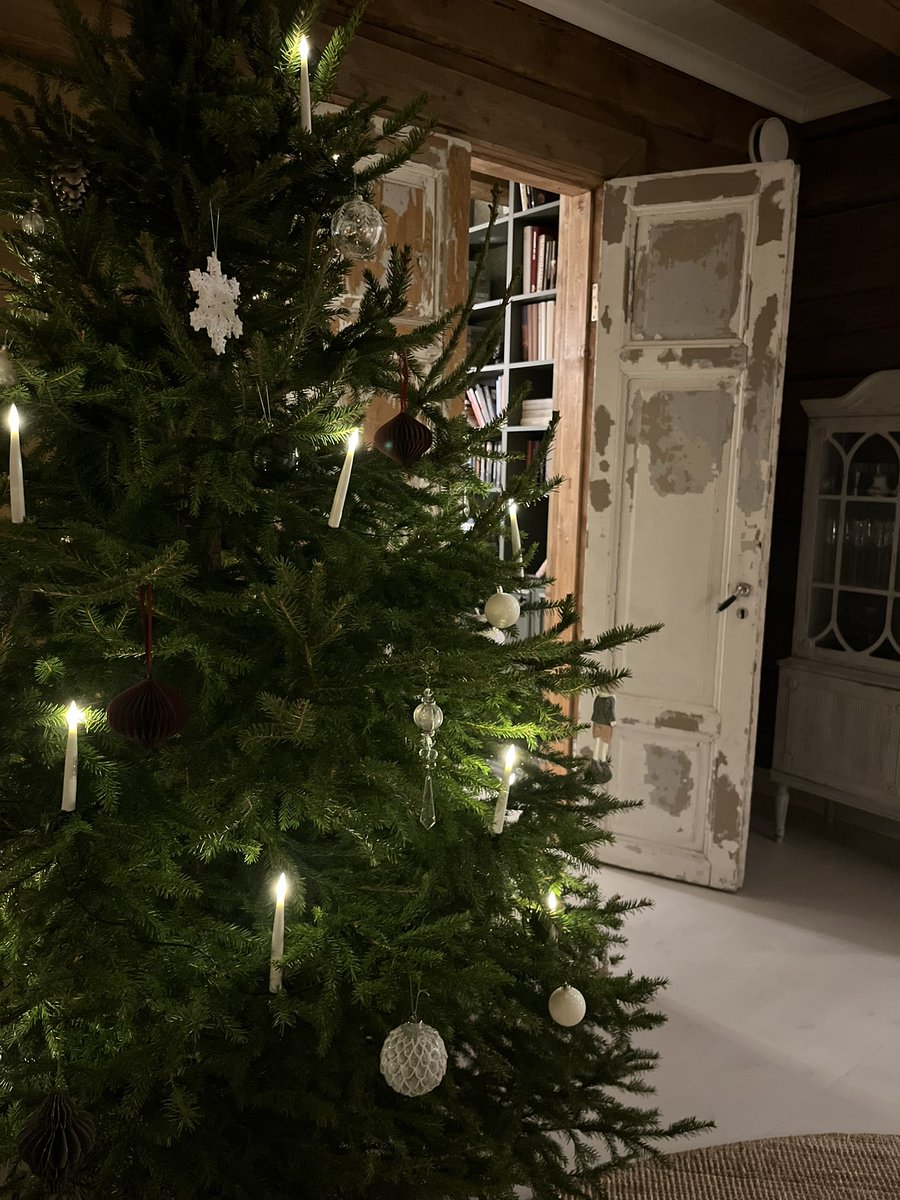 Kuusi pystyssä, leivonnaiset tehtynä ja lahjat paketeissa. Ajattelin huokaista just nyt. Levollista joulua itse kullekin! ✨