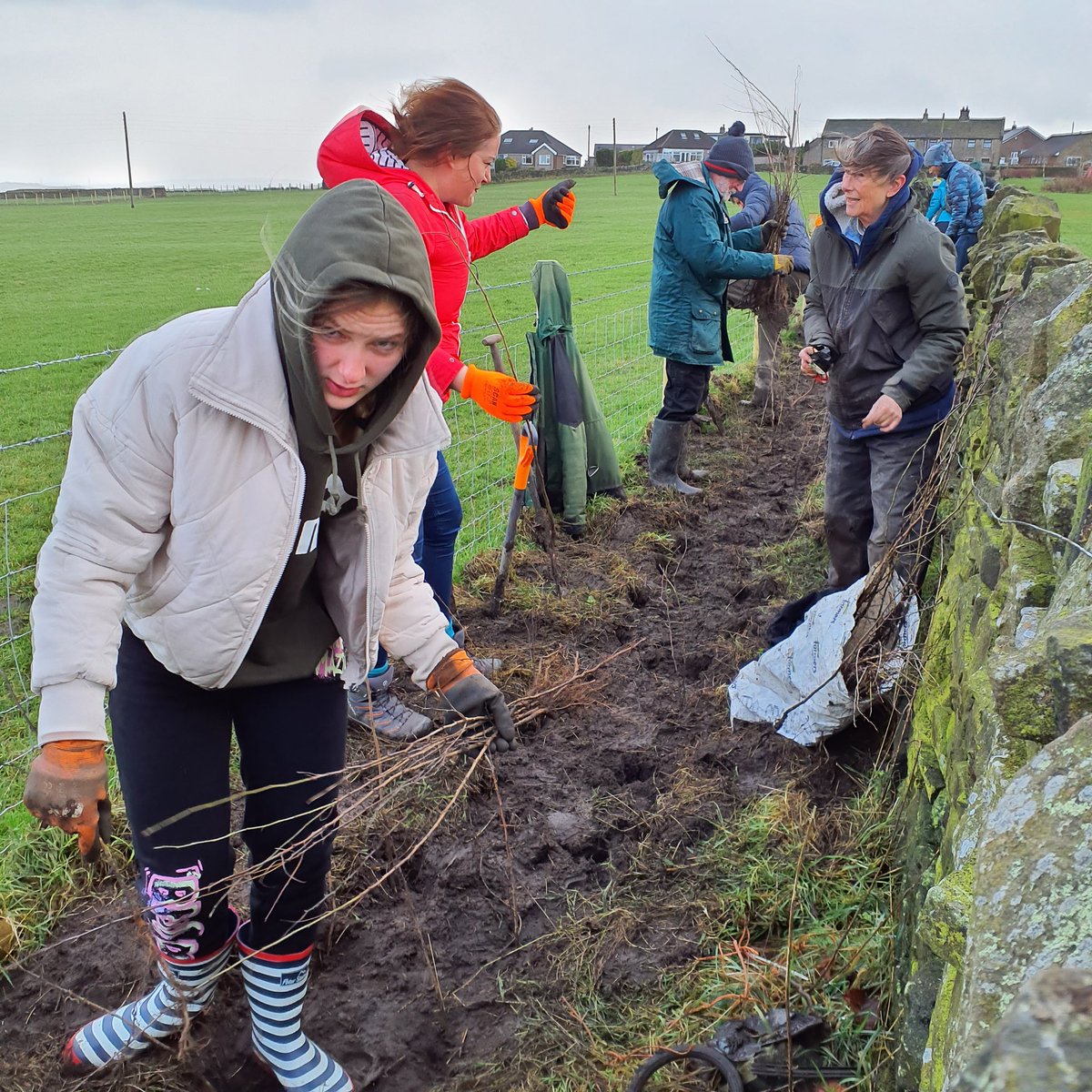 Forus Tree @forustree.bsky.social tweet media