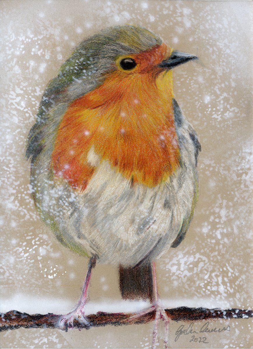 Robin appreciation post. Please remember Robins aren't just for Christmas 😂

#robin #Christmas #Birds #seasonsgreetings #artwork #artist