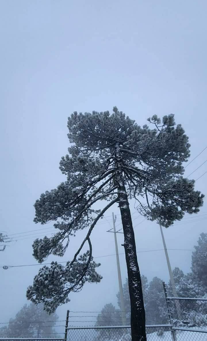 PuntoMedioEdo's tweet photo. ❄🌨🌬 El invierno ya está en el Estado de México; así se vio desde Jocotitlán en el cerro de “Xocotepetl”. https://t.co/kEkaUBo3Q6