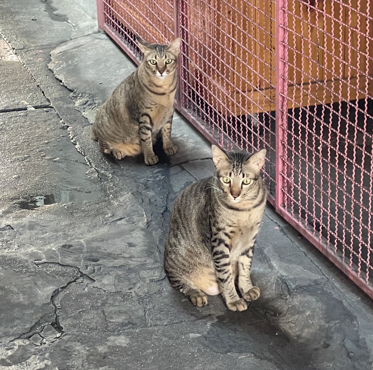 ถังแก๊สพร้อมระเบิด