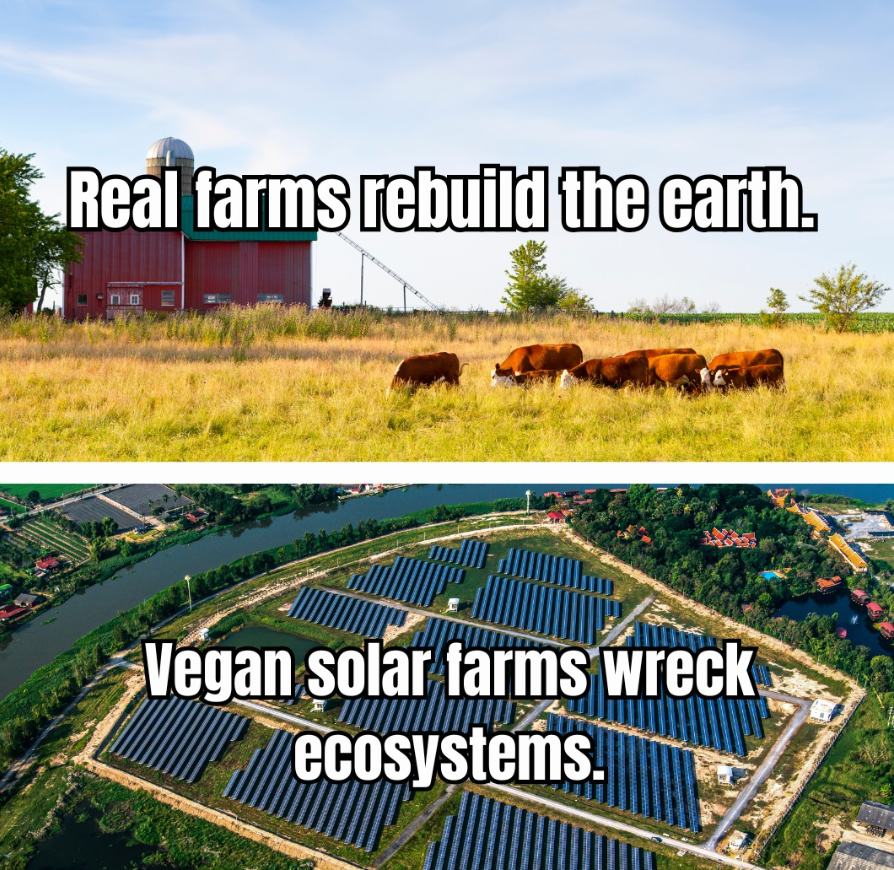 SentinusPrime's tweet photo. #RealFarm #greennewdeal #climatechangehoax #solarfarms #climategrift https://t.co/fjVmd5FErj