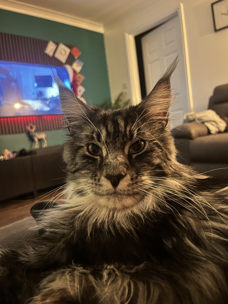 Matt Doogue tweet media