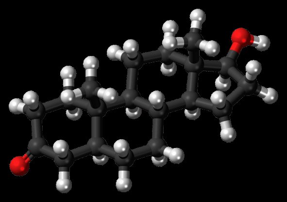 BowTiedUM's tweet image. DHT: the most misunderstood hormone in the human body & Big Pharma's favorite scapegoat
Without it? You'd be assigned female at birth
Deep Soy doesn't want you to know it's:
- Your portal to the Divine Masculine
- The father of the most cognition and aura elevating…