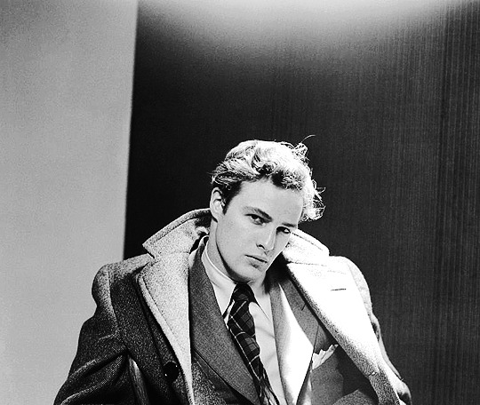 cinesthetic. tweet media