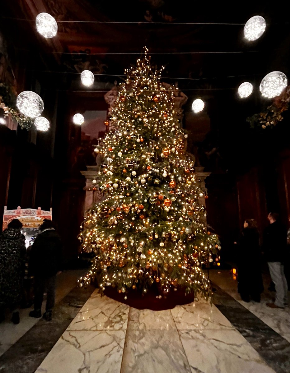 A reminder for all our heritage clients who have created such magical settings for their visitors with many splendid Christmas Trees.

“Up to 25,000 insects come into the house with the tree.”

See it, stop it, Constrain it!