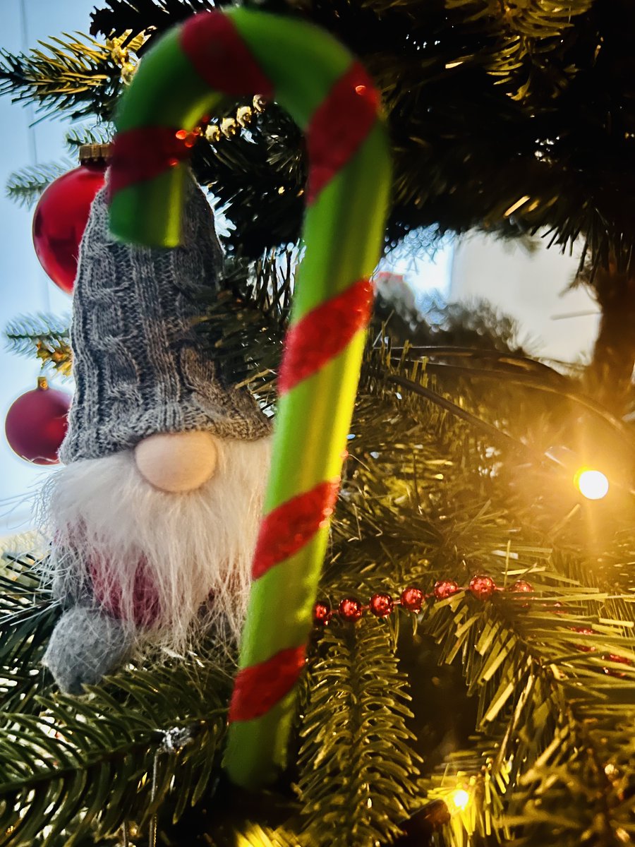 Unser CHU-Wichtel ist voll im Weihnachtsmodus! 🎄 Die Deko steht – jetzt fehlt nur noch der Glühwein. 🍷🎄✨ Wir wünschen euch allen einen guten Start in die Weihnachtsferien! 🎅 #WichtelAmWerk #Weihnachtszauber #CHU #twlz