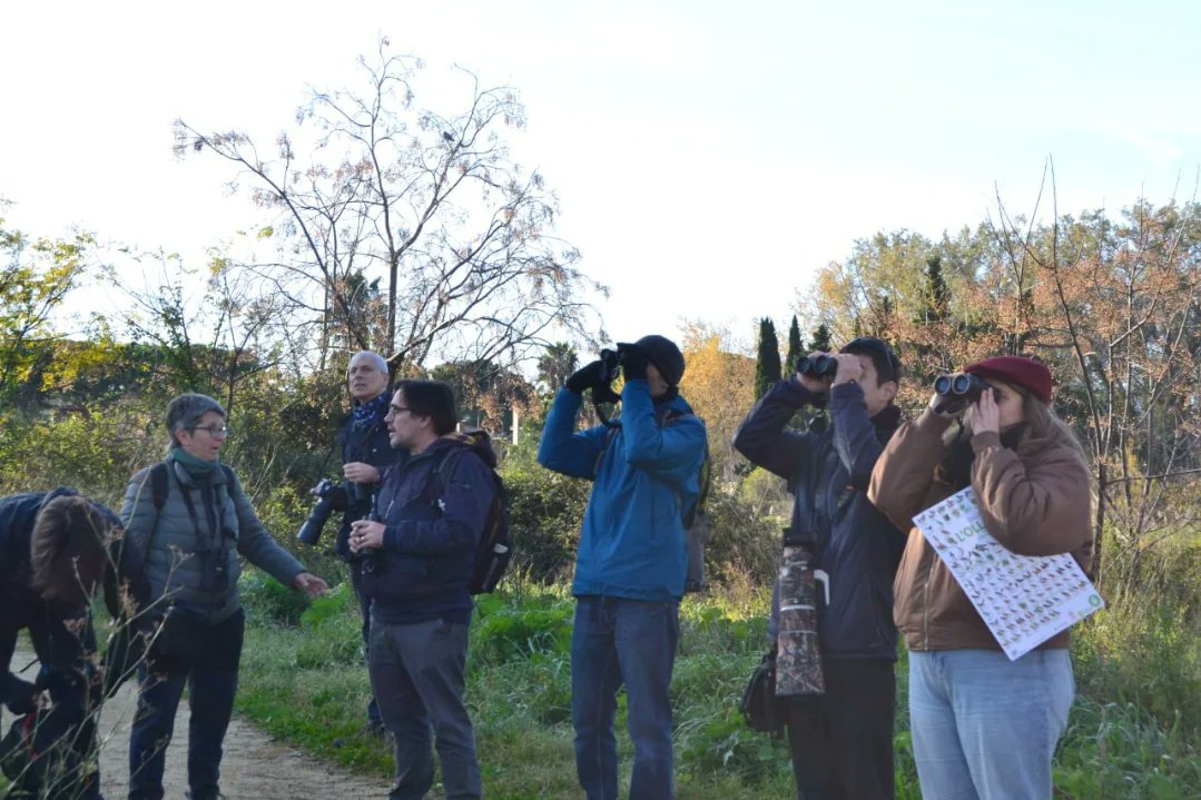 Salvem l'Olla del Rei tweet media