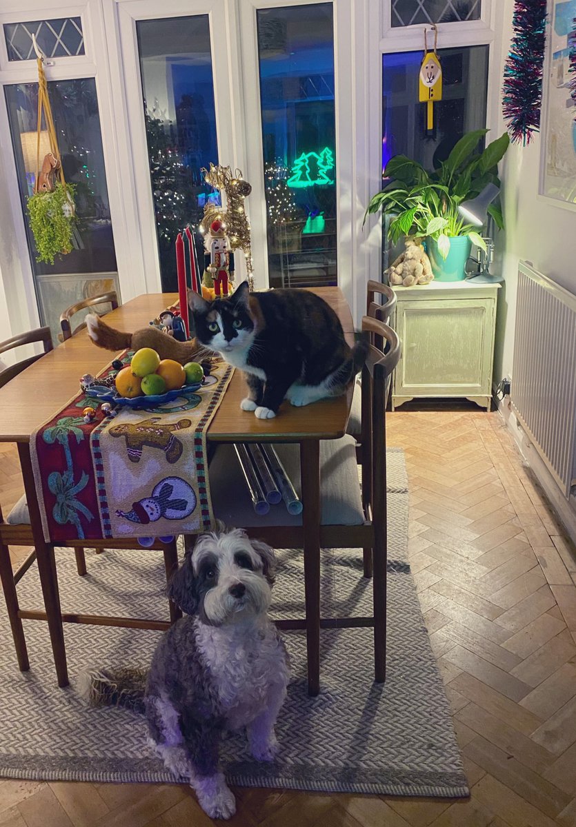 BeMoreBob tweet media