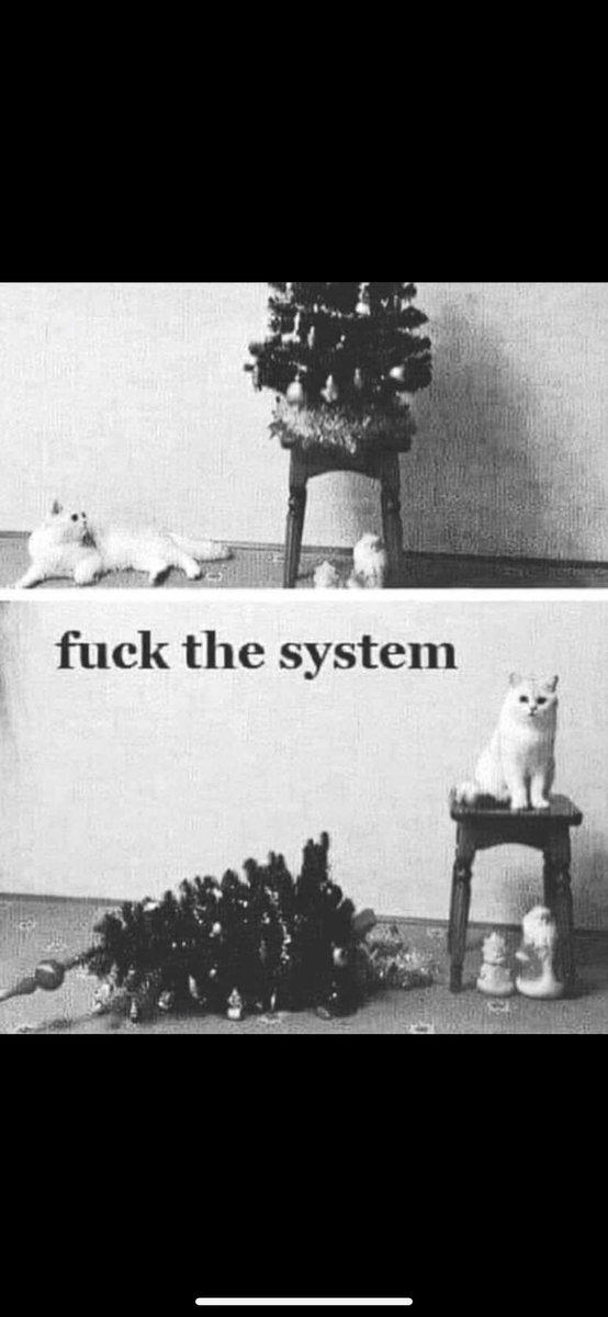 HUlisheva's tweet photo. @jekkukissa Johto ol jotenki väärin. Never blame tha cat 🫶 https://t.co/mpyeOugm4X