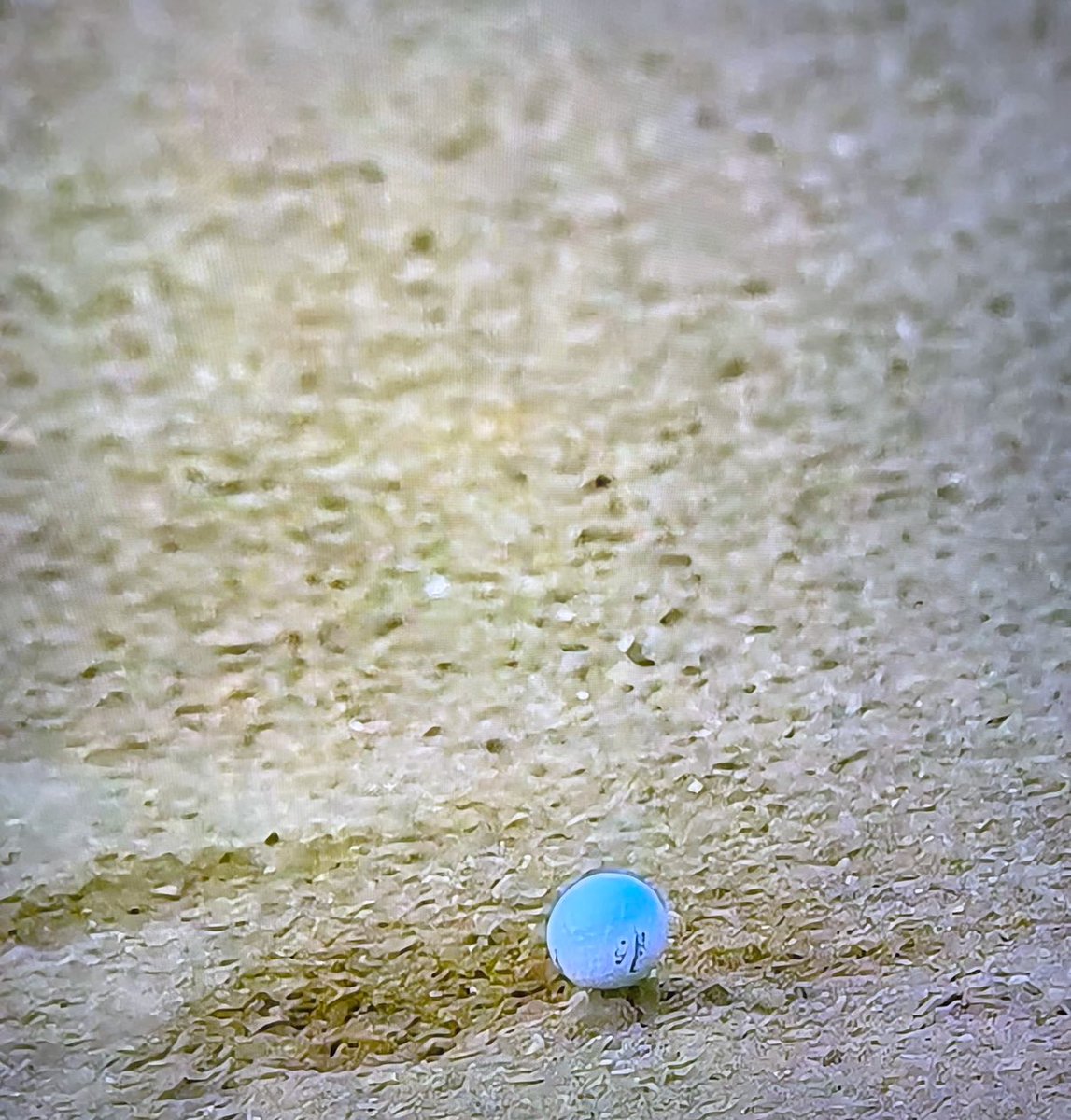 Paolo Uggetti tweet media