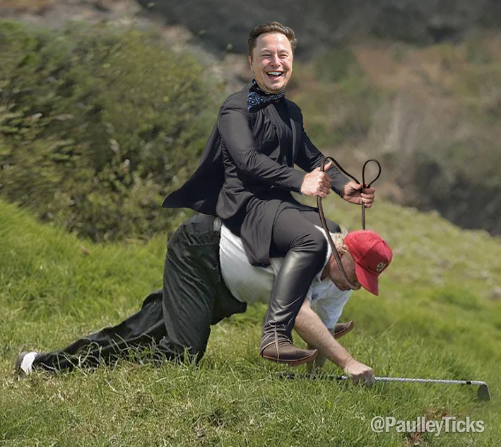 PaulleyTicks tweet media