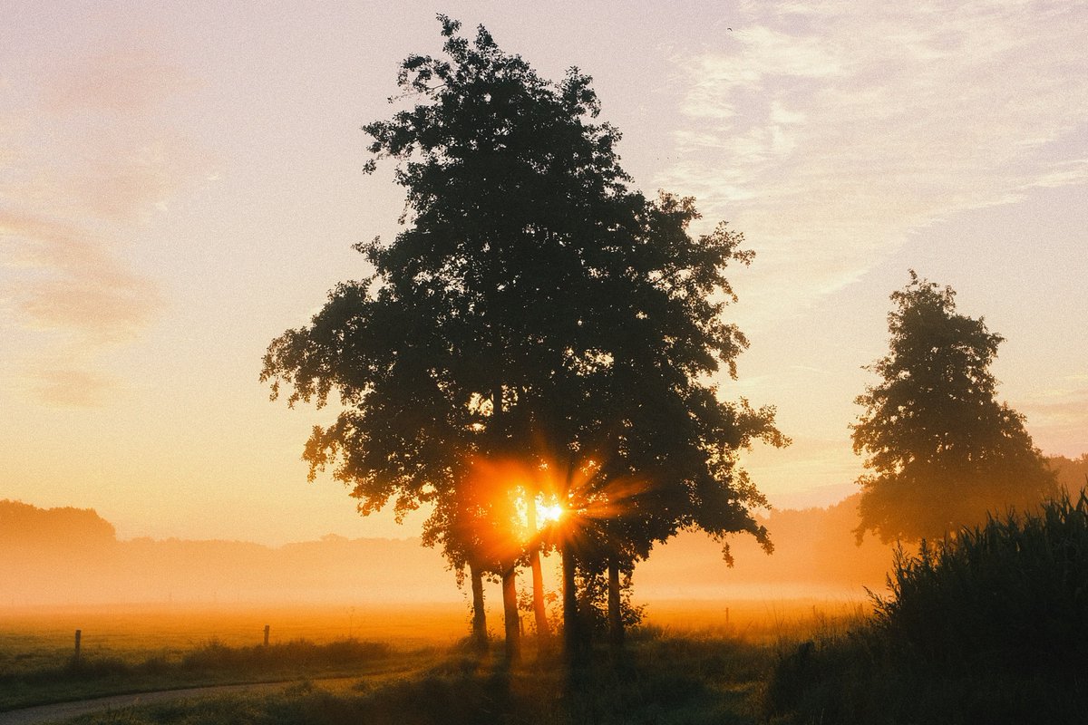 earncashdaily19's tweet image. Ready to start your affiliate marketing journey? 🚀💰 Discover the basics with our FREE video at Affiliate To Millions! Transform your future today! 📹✨ #AffiliateMarketing #BeginnerFriendly
Free Video More Info @ earndailystartnow.com