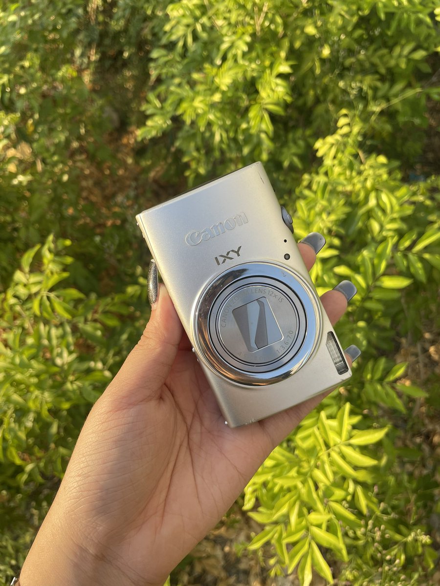 Daydreamcamera🌬📸 tweet media