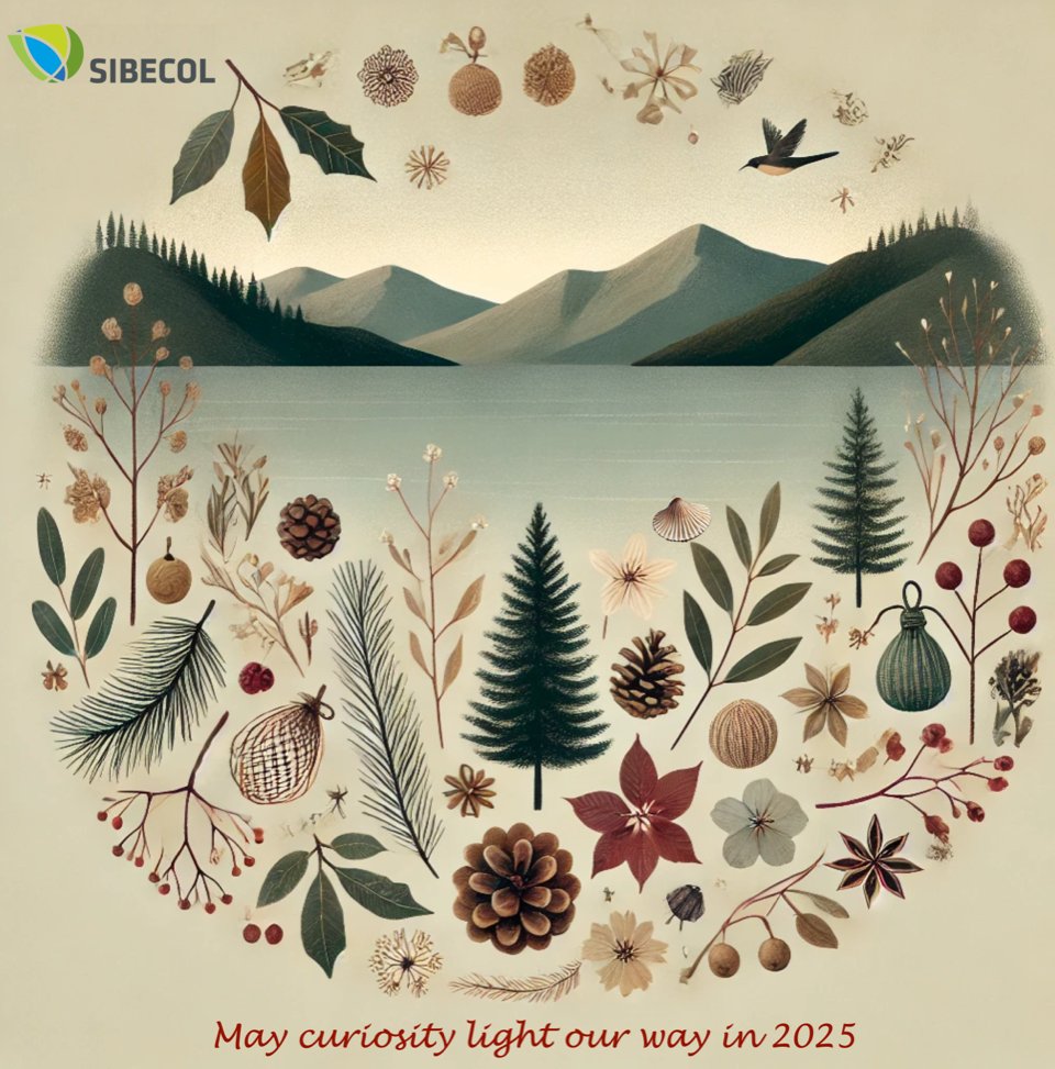 💫 May curiosity light our way in 2025 💫