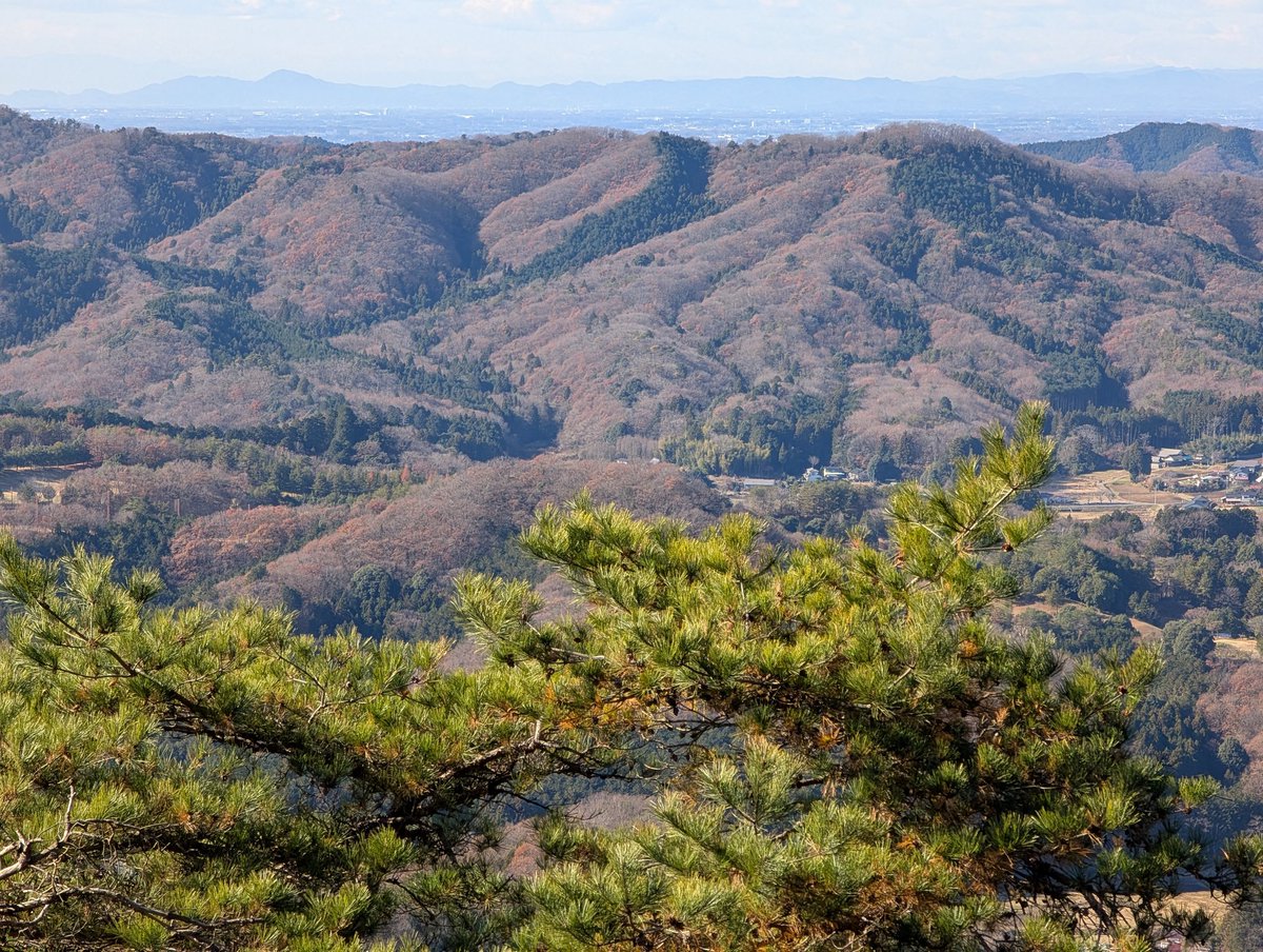 おはようございます
😺🤗😸
月曜日の朝ですね
まだまだ夜みたいに真っ暗🤭
今日は今年最後のお米買い出しに行ってきますね

キャー(≧▽≦)