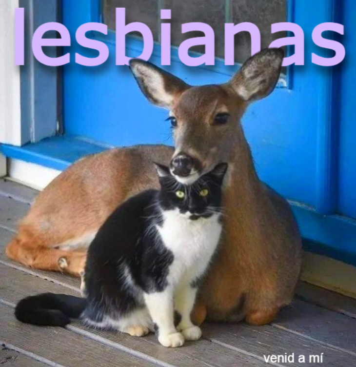 devil_caat tweet picture