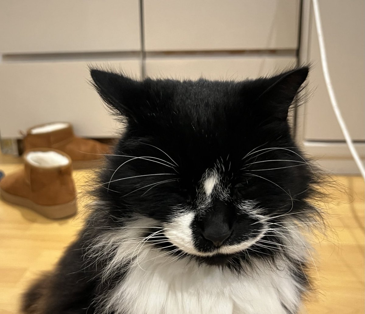 He’s very sorry for drinking all our Christmas booze