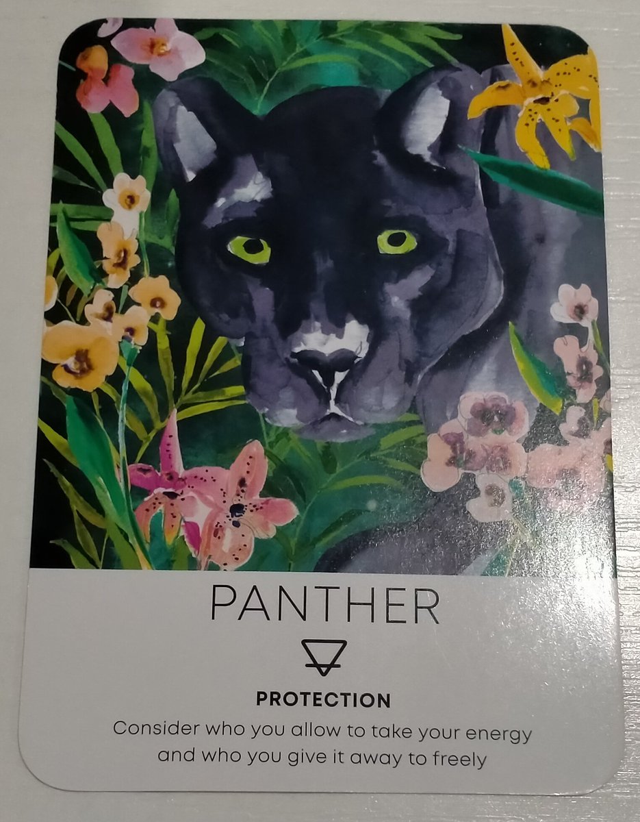 didsastrotarot's tweet image. #oracleoftheday ✨