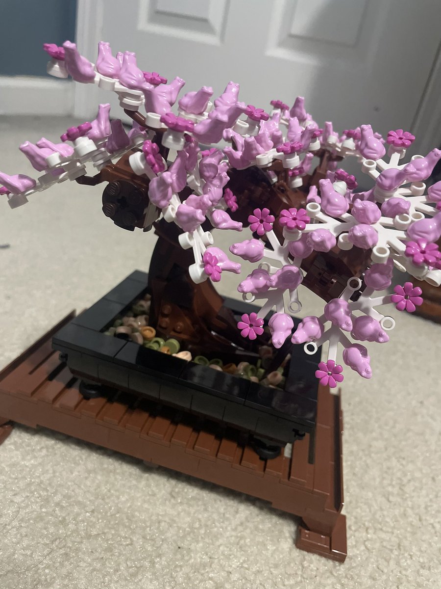 ScuffedSSB's tweet image. The gf got me the GOAT Christmas gift