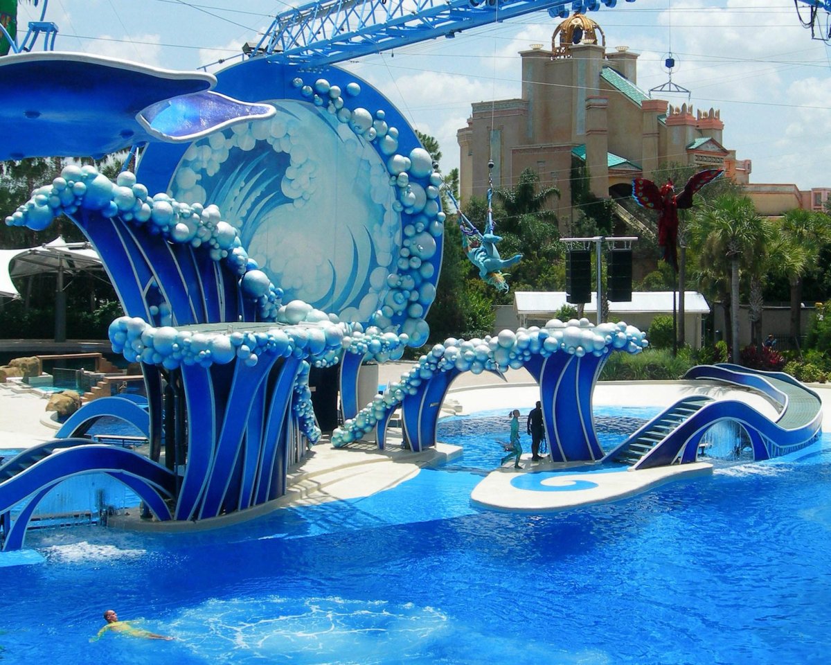 MJ 🐳 🐋 🐬 🦭🎢🌴🌞Luminous=🗑 tweet media