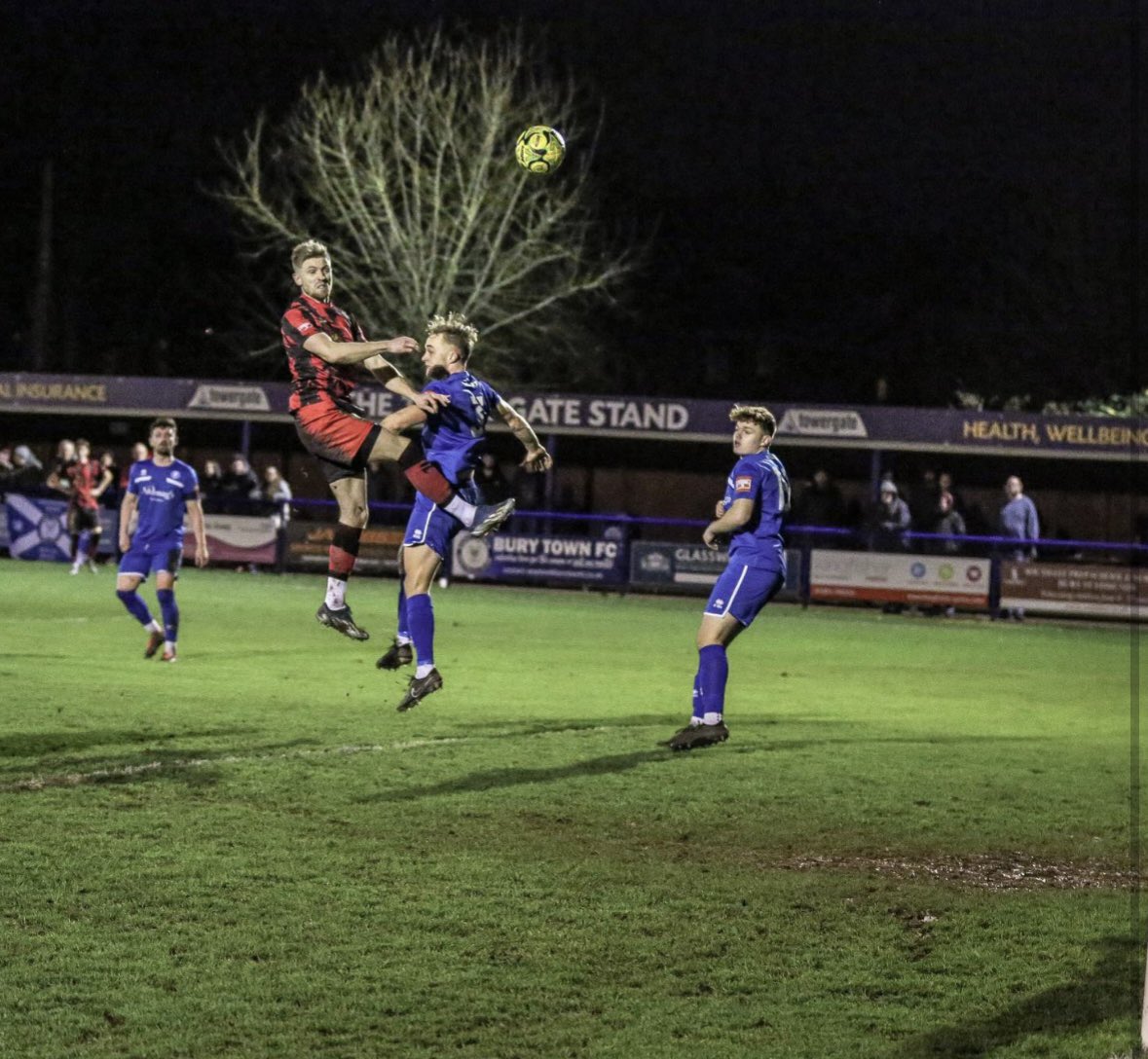 Harry Mann tweet media