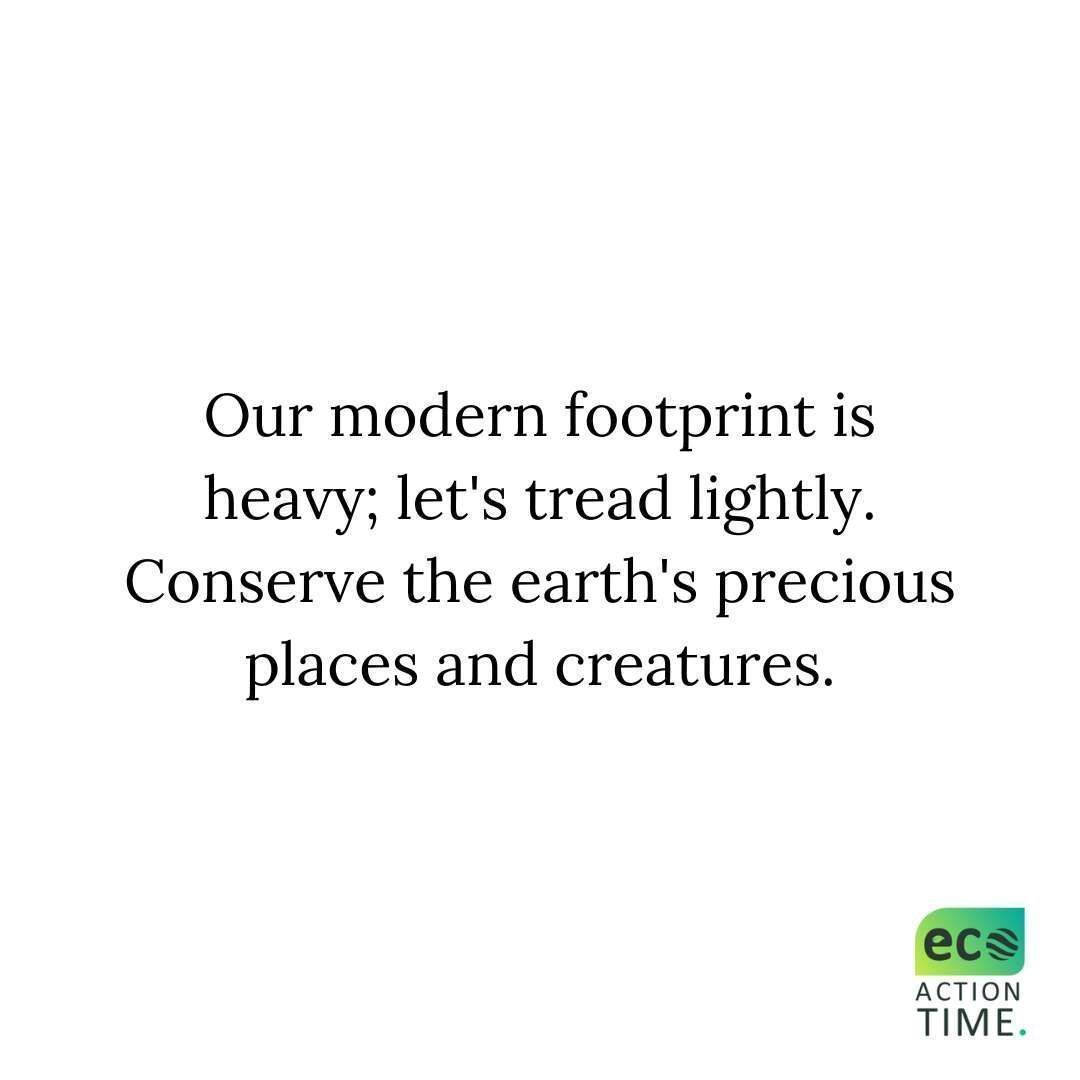 EcoActionTime's tweet photo. Join us in making a difference! 🌍💚 

#Conservation #ProtectNature #ReduceFootprint #PreserveWildlife https://t.co/wsmwosUFsG