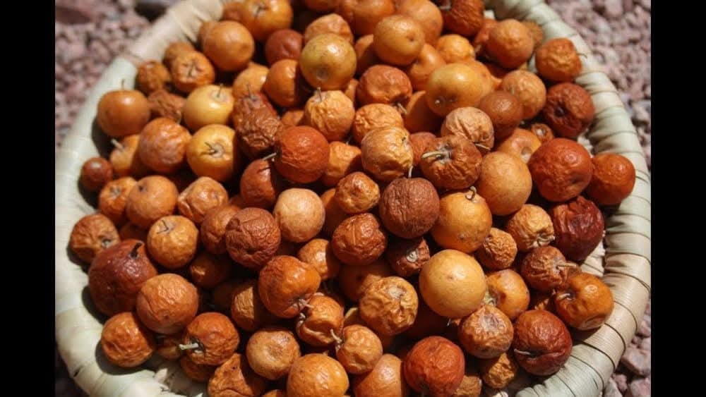 يلالي يذ من غايتي أنا ولمعيز هههه !!؟