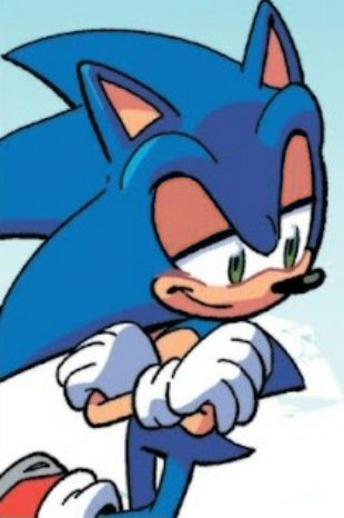sonic_speed91's tweet image. 