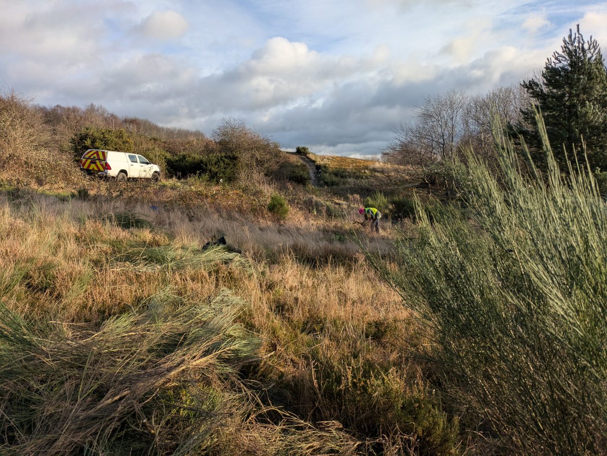 Friends of Parkwood Springs tweet media