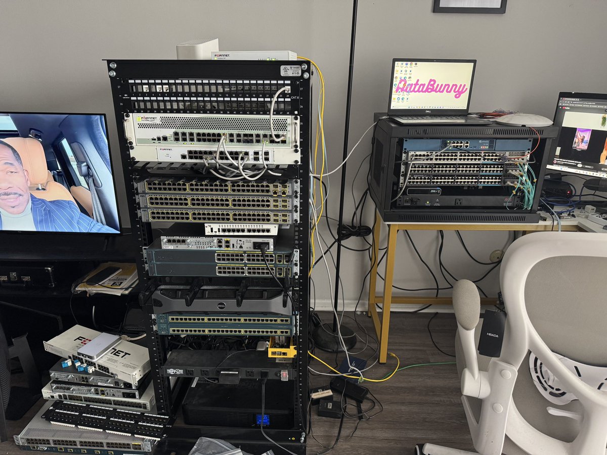 TheDataBunny tweet media