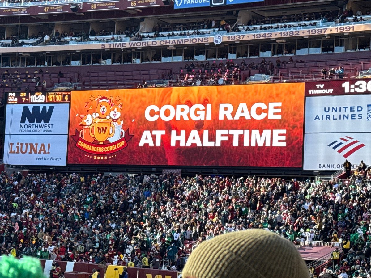 031_productions's tweet photo. Detroit Lions game, if you're looking for a team to support @CapCorgiTTV https://t.co/4CovQqK8UT