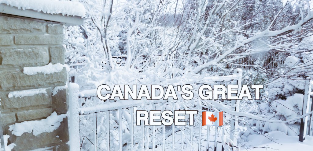 Babu Must-Ajayameru (hōō) 🧐🇨🇦🍁🇨🇦 tweet media