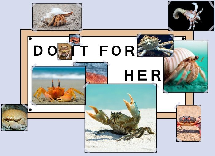 _Hidgar's tweet image. Para acabar, la carcinización 🦀 nos muestra lo increíblemente adaptable que es la vida, pero no olvidemos que especies que han sobrevivido muuuuuchos años hoy se encuentran amenazas por actividades humanas. Proteger nuestros océanos y su biodiversidad es crucial para ellas 😔🥺.