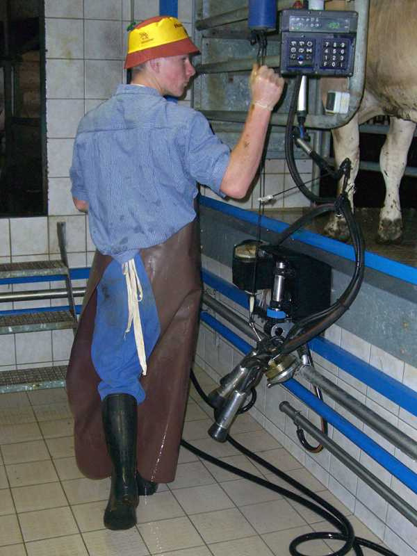 REAL MAN i like (@themenilike) on Twitter photo 