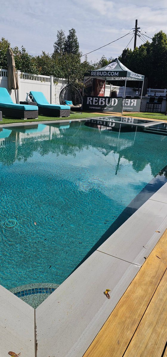 Mr.Gainzzz🍕 tweet media