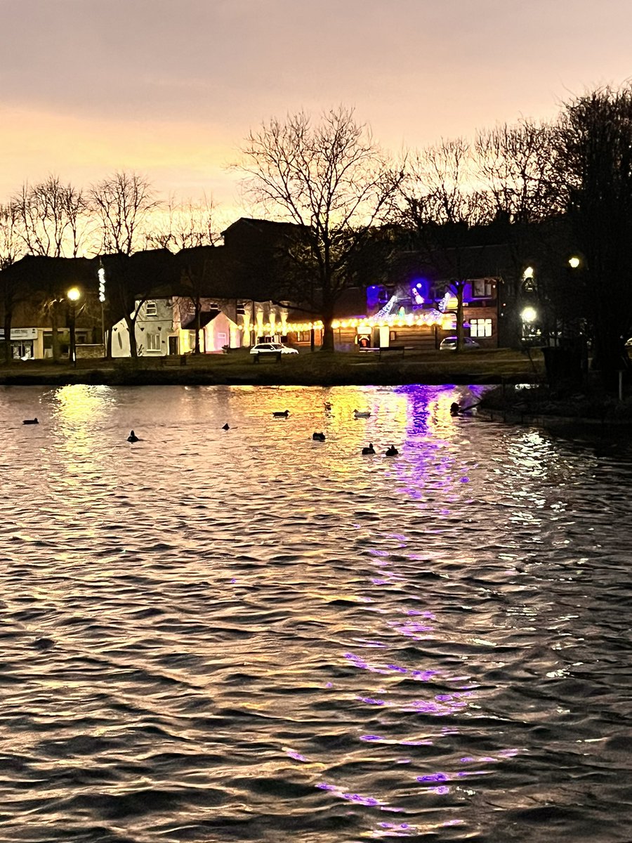 The Ark (Askern) tweet media