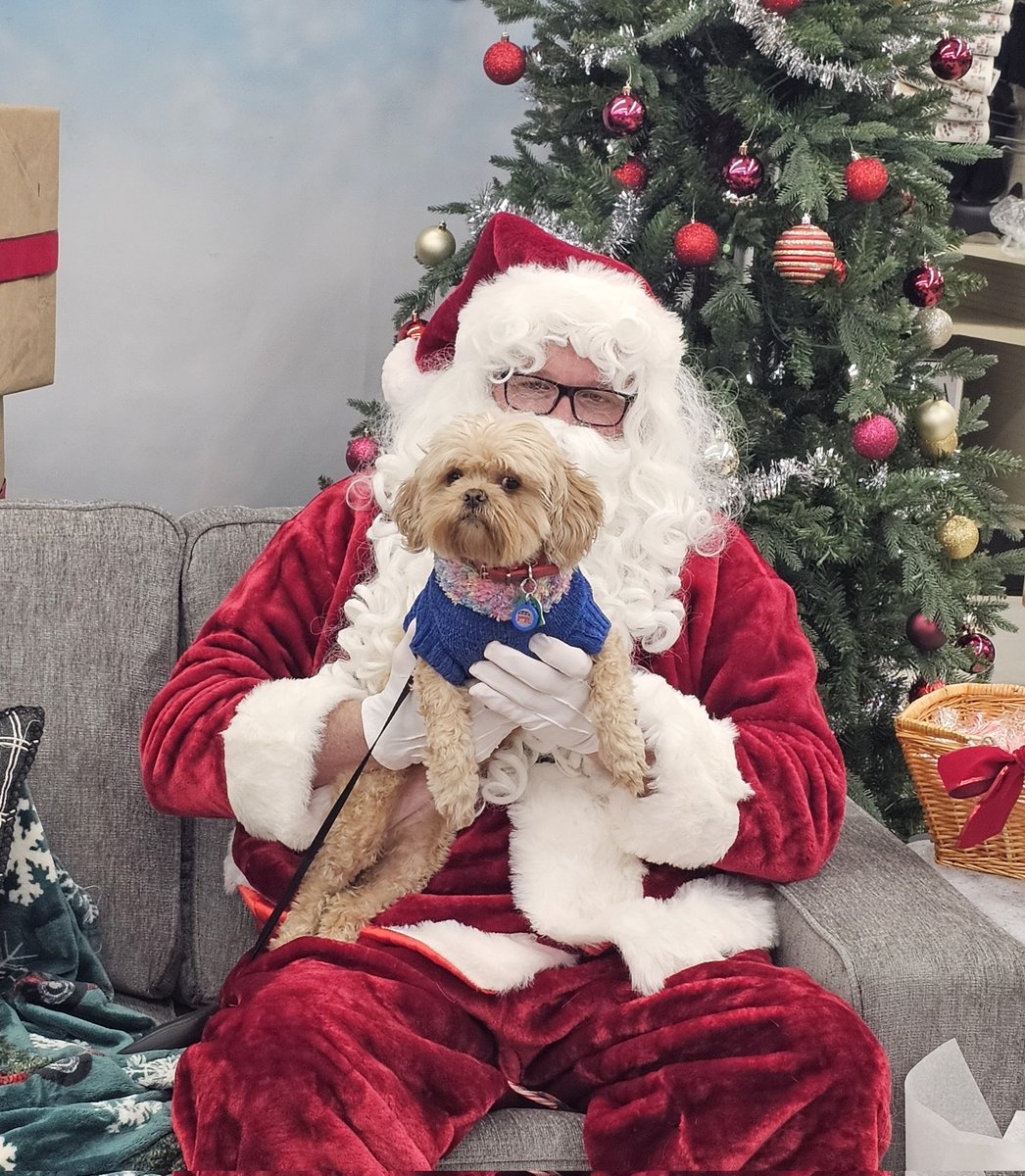 DustyAJohnson's tweet image. Santa agrees that Peaches has been a very good girl this year. He said that she will get lots of treats because she is on the nice list. 
#MerryChristmas #Pawlidays 🐾🎄