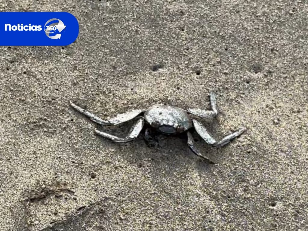 Noticias 360 Perú tweet media