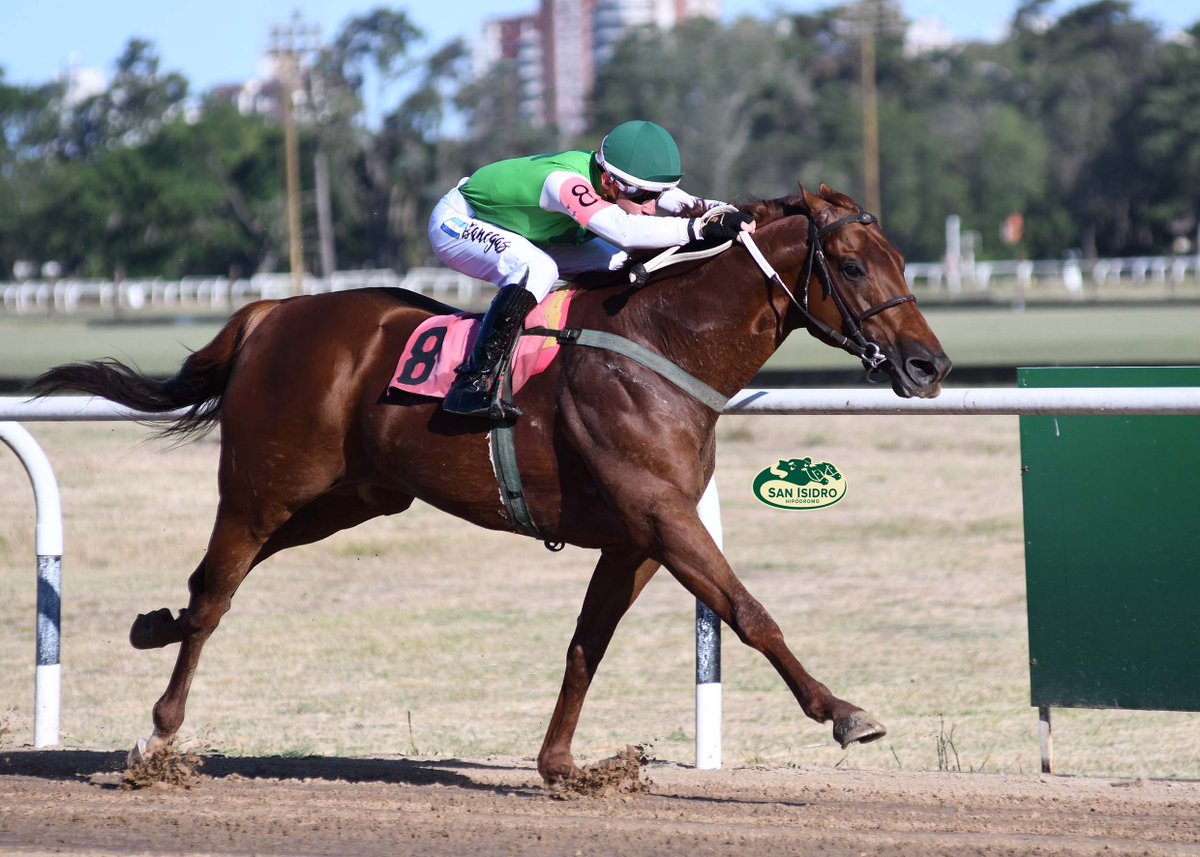 HipSanIsidro's tweet photo. ✅ En el #HSI se disputó el #ClásicoLatency (L - 1200 metros), donde se impuso #EarthAndFire (5 años, Cosmic Trigger), del #StudMay-Clau, entrenado por #MaríaÁlvarez y dirigido por #KevinBanegas. https://t.co/7fg0wnosc6