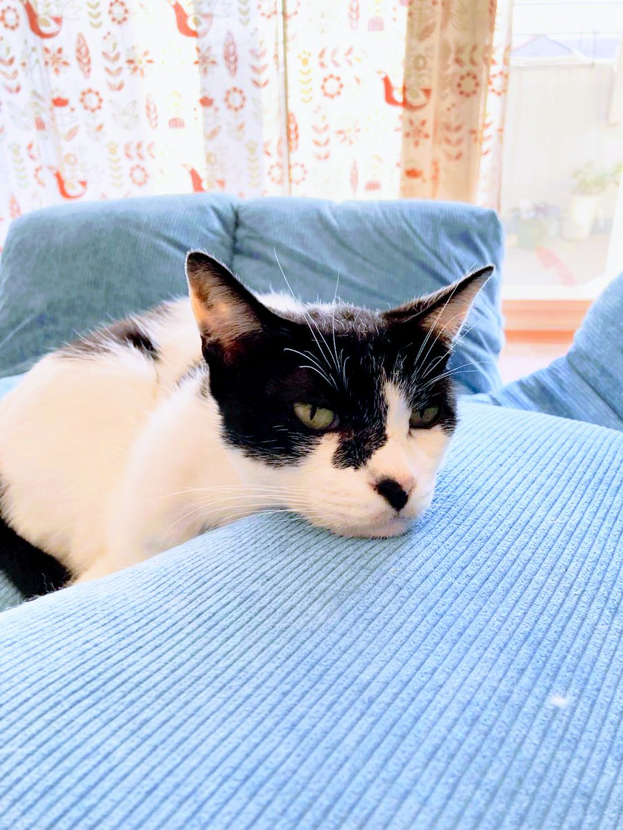 今週はクリスマスですもんね🎄🎄🎄🎄🎄🎄
楽しみましょう

キャー(≧▽≦)