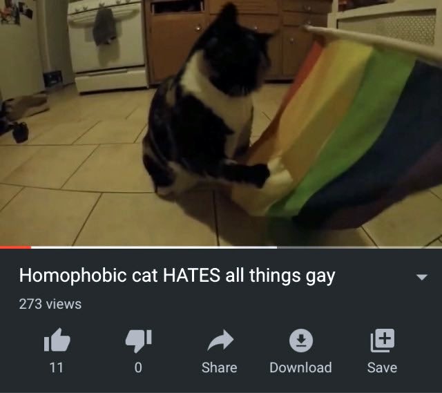 PunchingCat's tweet photo. https://t.co/RSNSWvWQLF