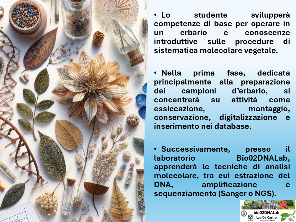 odecastr's tweet photo. Possibilità di Attività Formative presso il laboratorio di Sistematica Vegetale Molecolare (Bio02DNALab).

Prof. Olga De Castro
olga.decastro@unina.it

▶️ Lo studente svilupperà competenze per operare in un erbario e conoscenze sulle procedure di sistematica molecolare vegetale. https://t.co/I3iahNoiyW