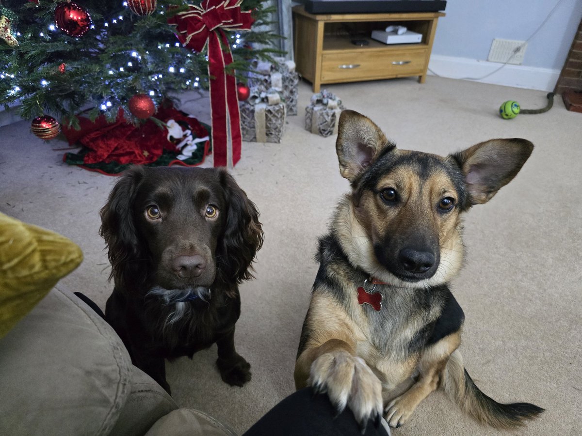 Please welcome the new member of our home, Amber xxx