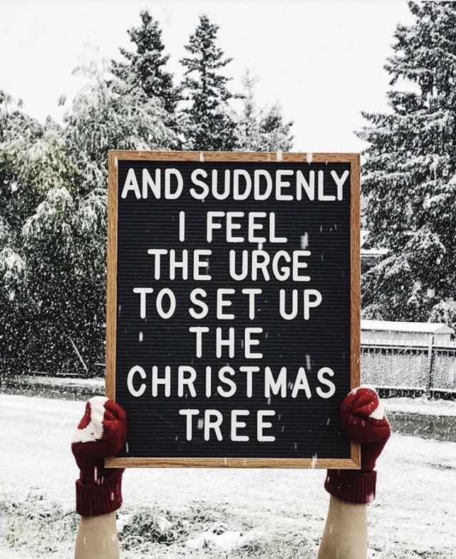 🦋Moonlight🦋 (@moonlight2453) on Twitter photo 