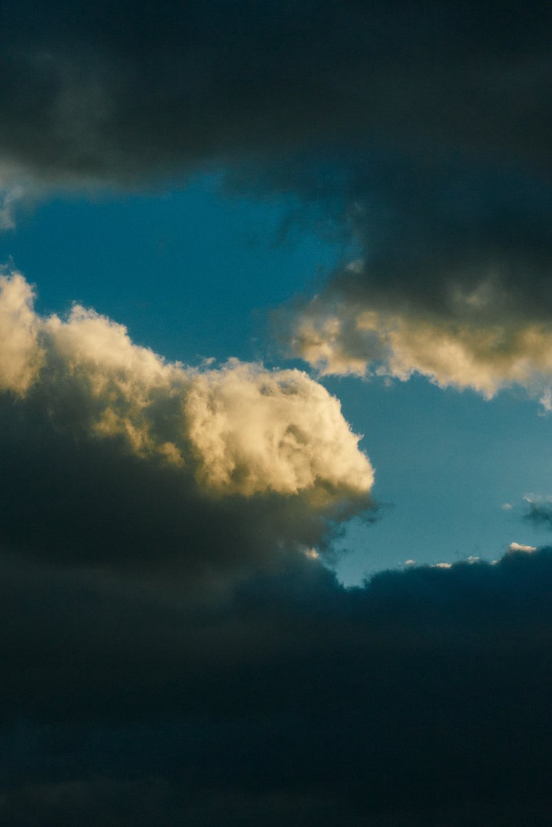 真道 健志 / Shindo Takeshi tweet media